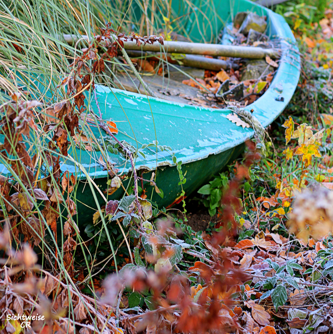 Der Fund im Herbst