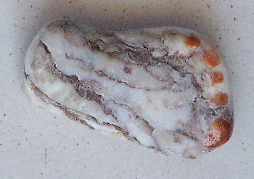 Der Fuß, am Strand von Rhodos-Stadt gefunden