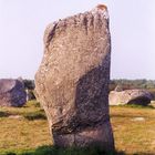 Der Fuß des ...Druiden