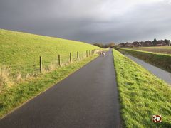 Der Fuß-Radweg unterhalb des Aussendeiches in Carolinensiel