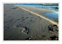 Der Fußabdruck der bezaubernden Joggerin...