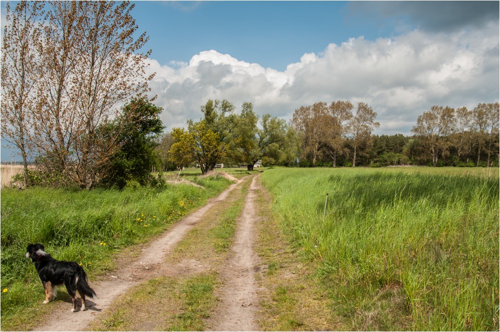 Der Fußweg ...