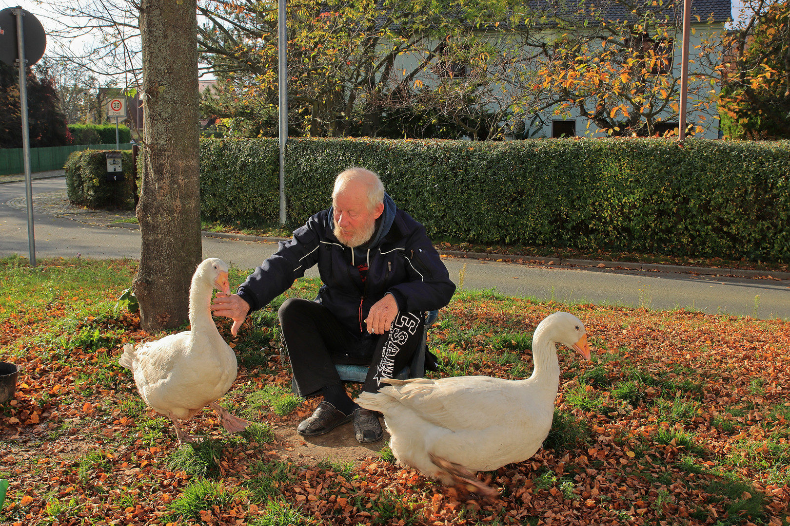 ...der Gänseflüsterer...