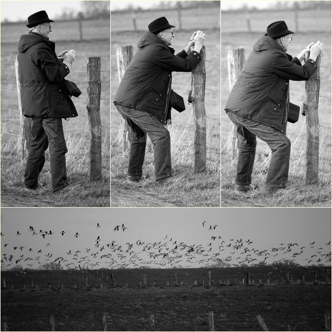 Der Gänsefotograf...