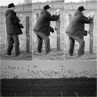 Der Gänsefotograf...