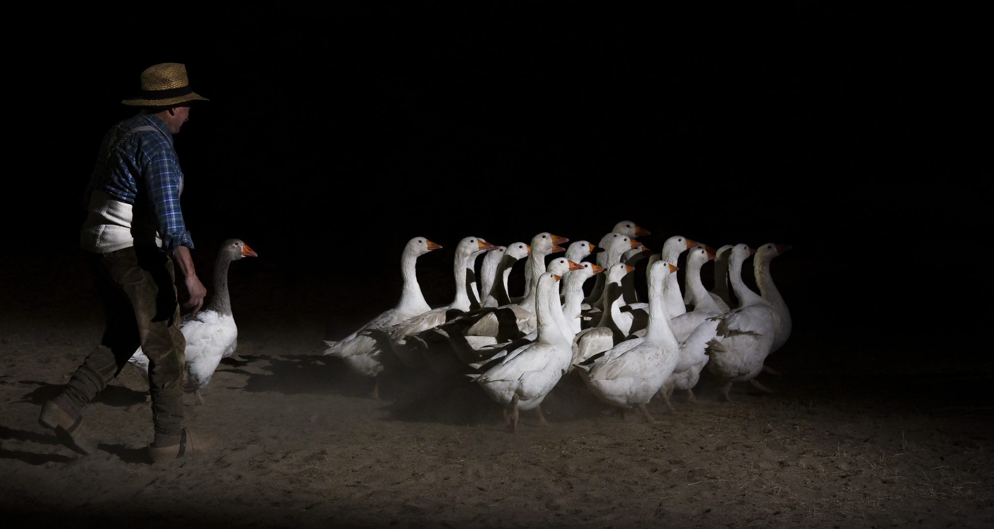 Der Gänsehirt