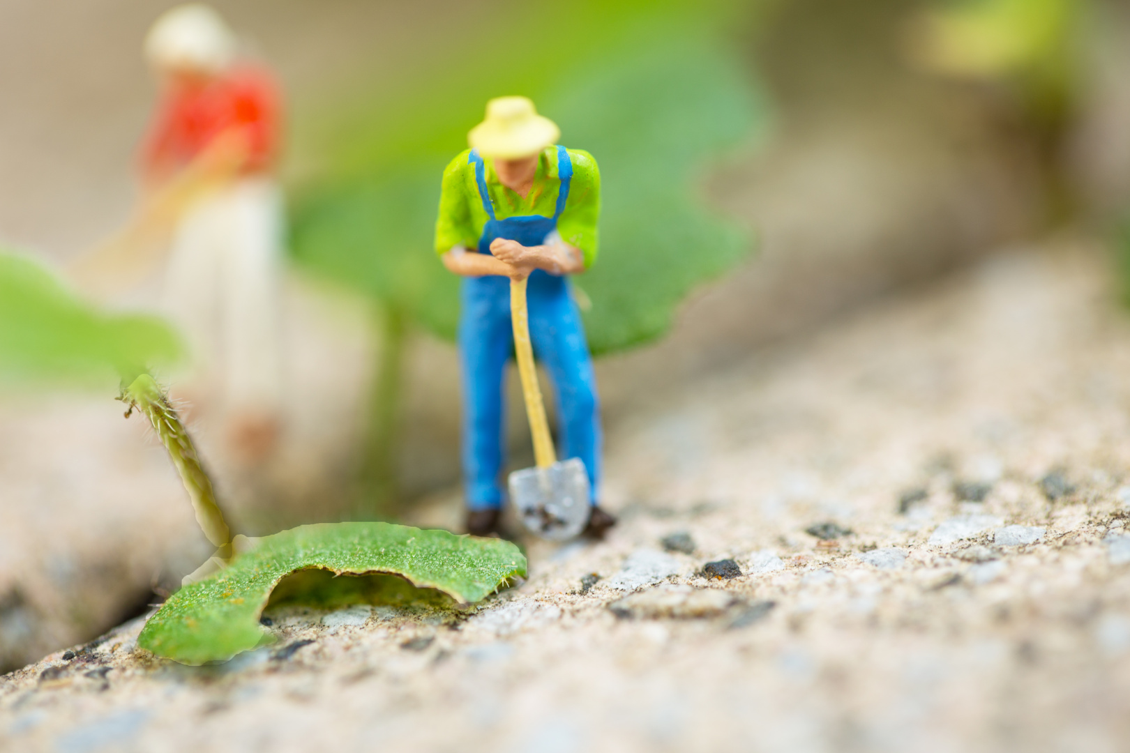 Der Gärtner Foto & Bild stillleben, figuren und miniaturen