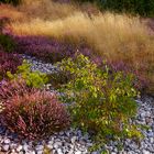 Der Gärtner hieß: Mutter Natur