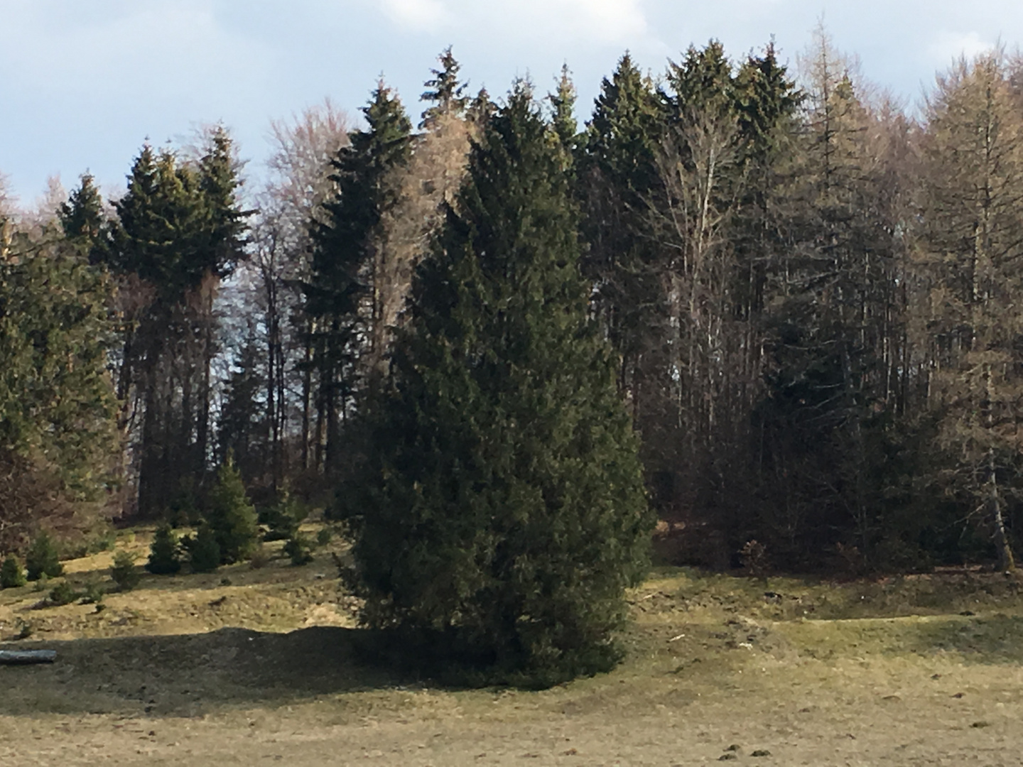 der ganz eigene Charakter der schwäbischen Alb