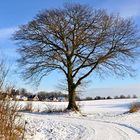 Der ganz frühe Winter 