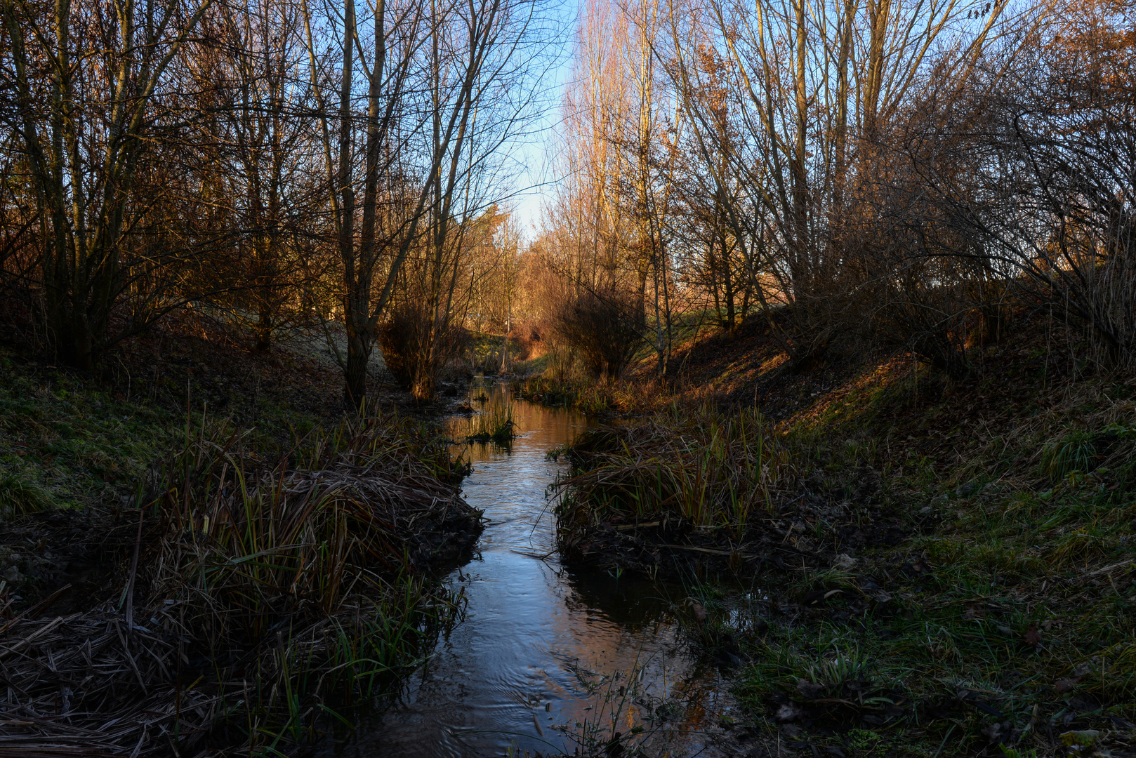 Der ganz junge Neckar 01