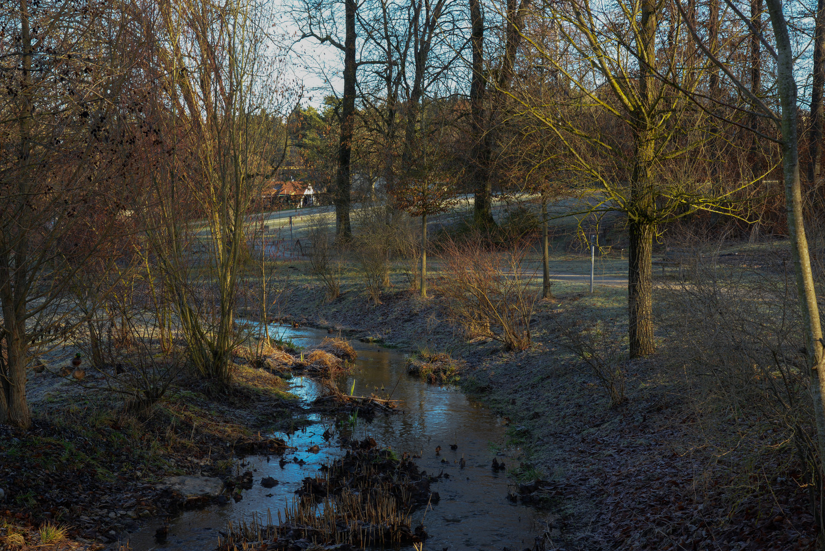 Der ganz junge Neckar 02