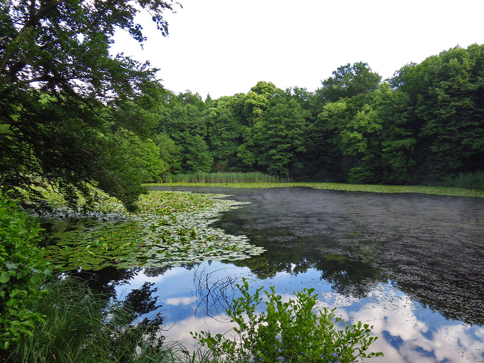 der ganze See