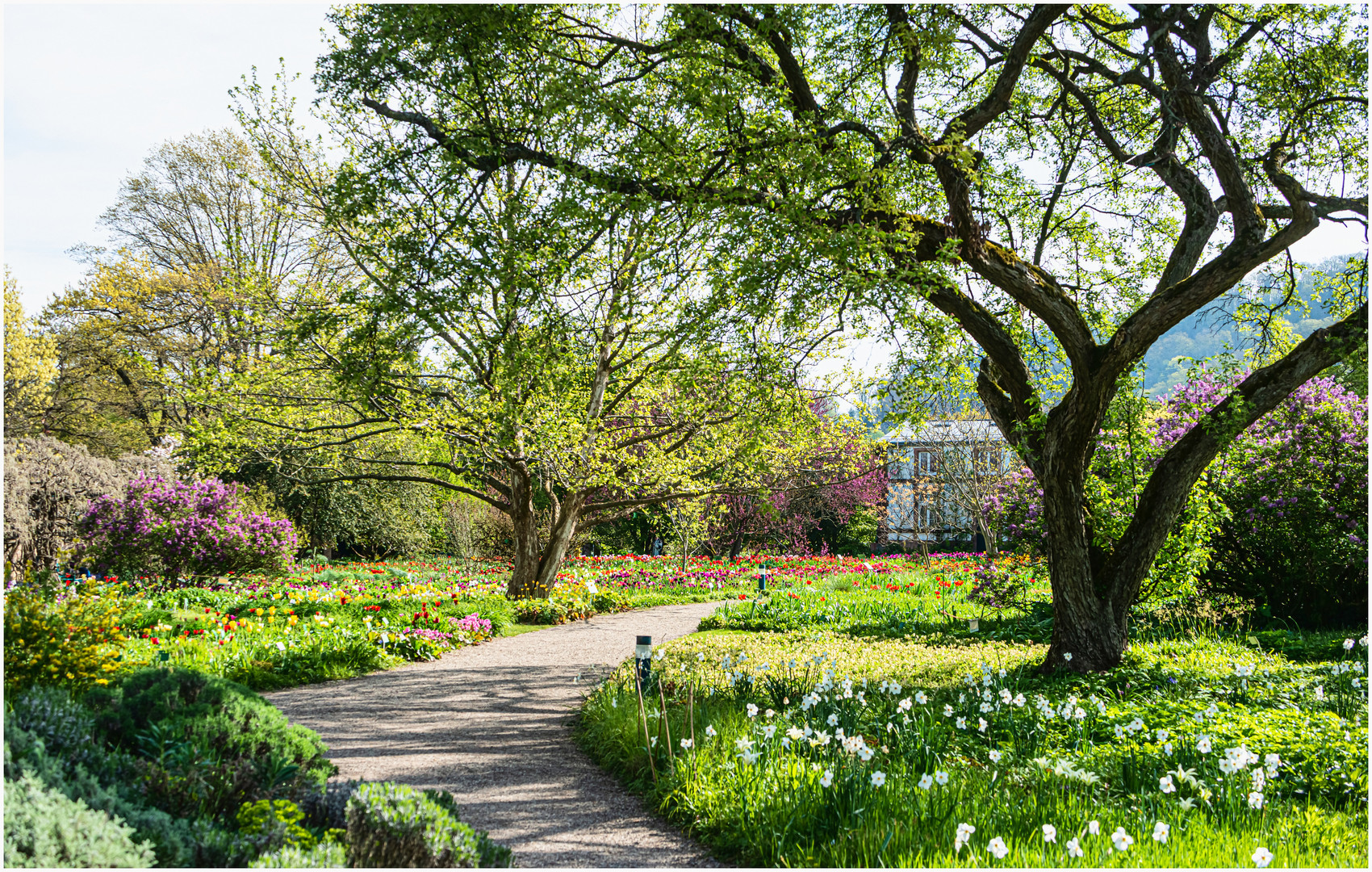 Der Garten