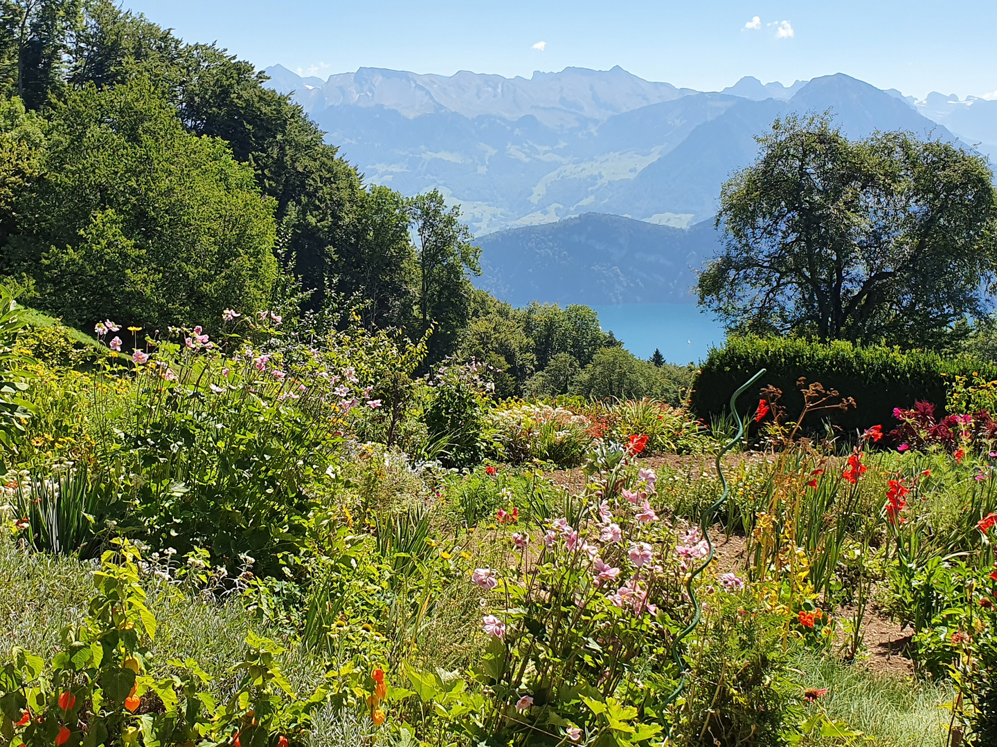 Der Garten 