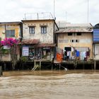 ...der Garten am Mekong...