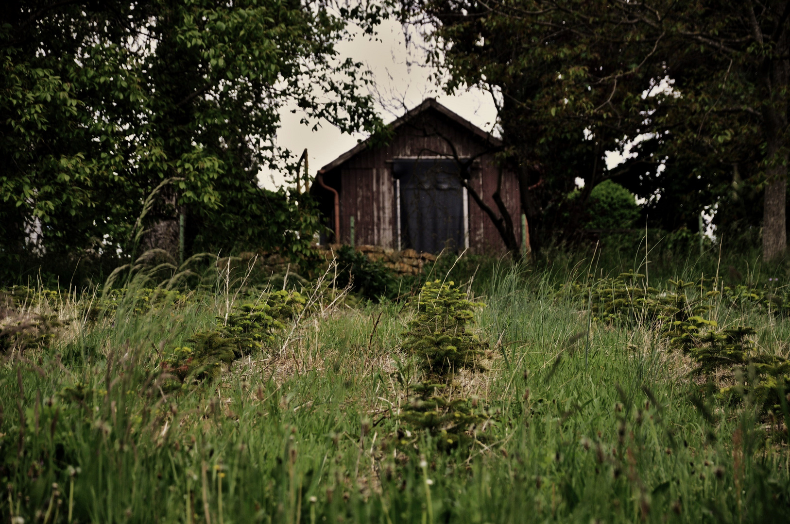 der Garten auf dem Land