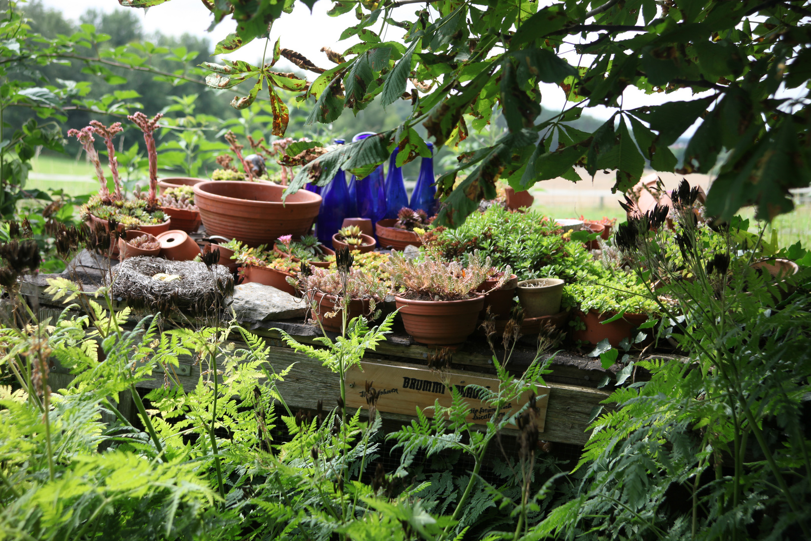 der Garten Auhof bei Hilpoltstein