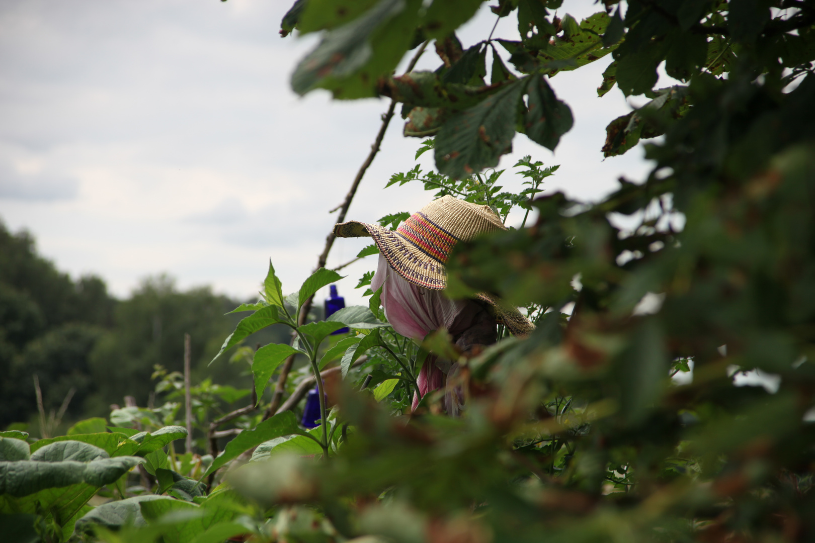 der Garten Auhof bei Hilpoltstein