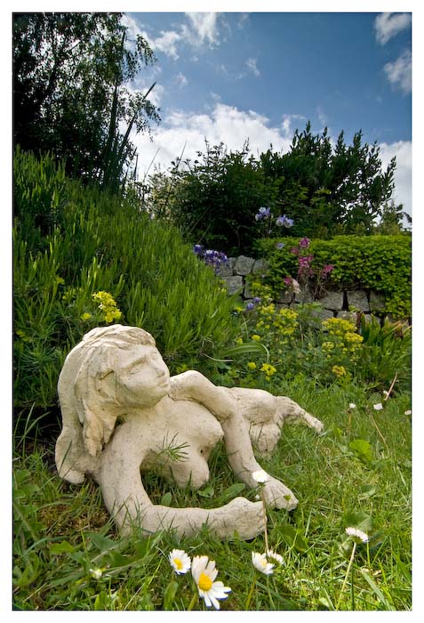 Der Garten aus einer anderen Perspektive