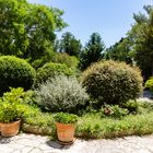 Der Garten der Abbaye Saint-André (1)