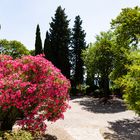 Der Garten der Abbaye Saint-André (2)