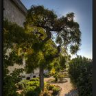 der Garten der Basilika Notre Dame de La Garde