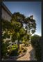 der Garten der Basilika Notre Dame de La Garde by Frank Stauga 