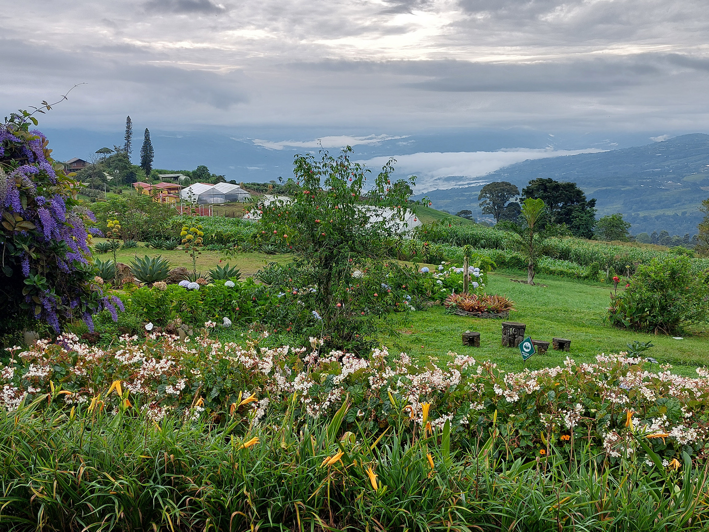 ...der Garten der Guyabo Lodge...