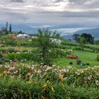 ...der Garten der Guyabo Lodge...