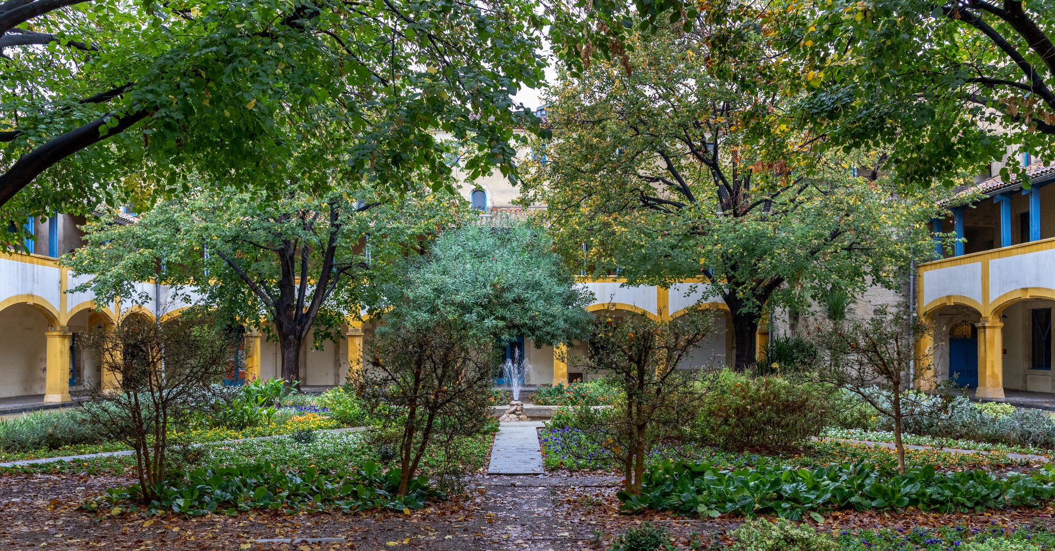  Der Garten des Maison de Santé in Arles 