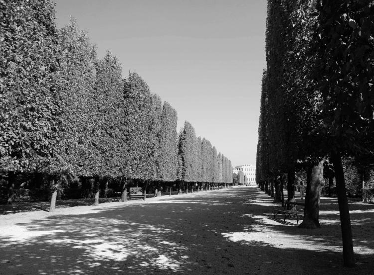 Der Garten des Schloss Schoenbrunn