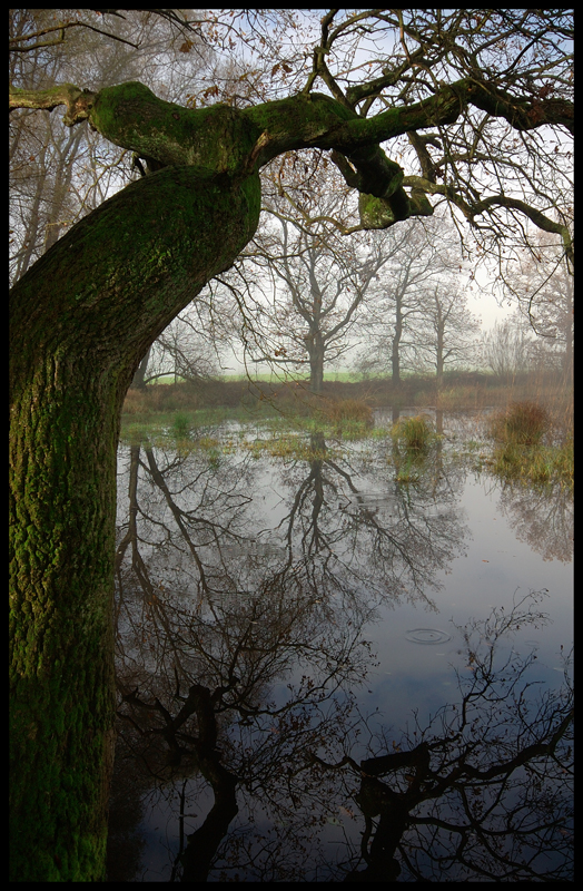 Der Garten Eden