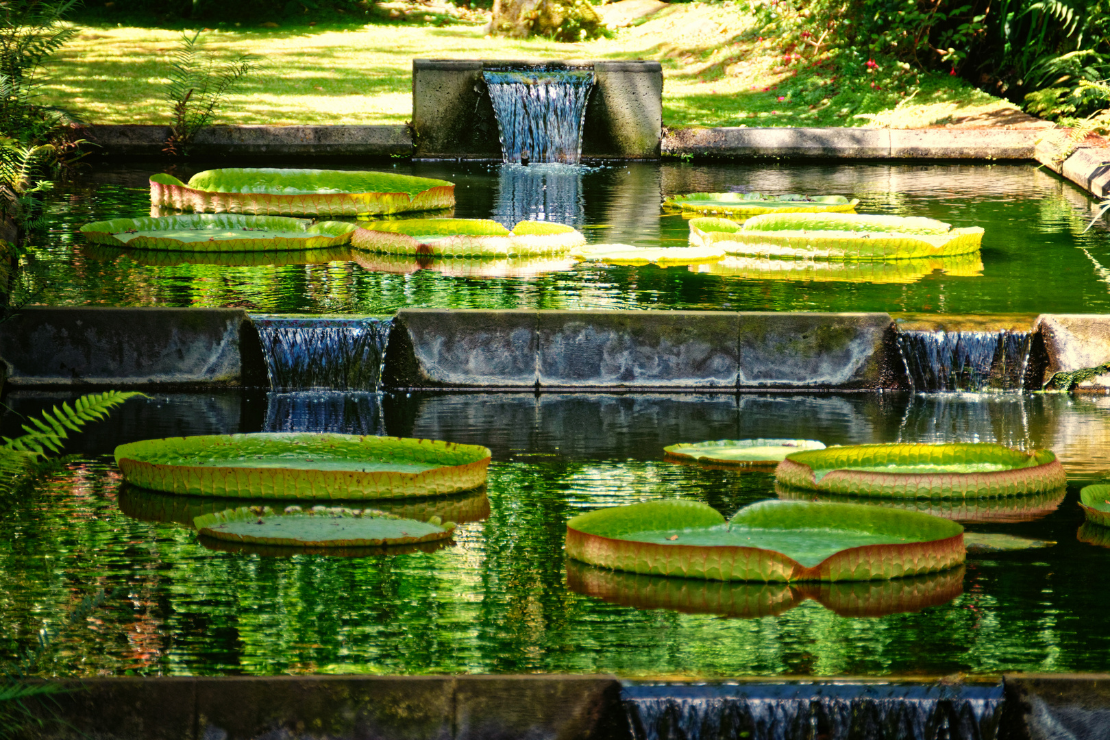 Der Garten Eden ...