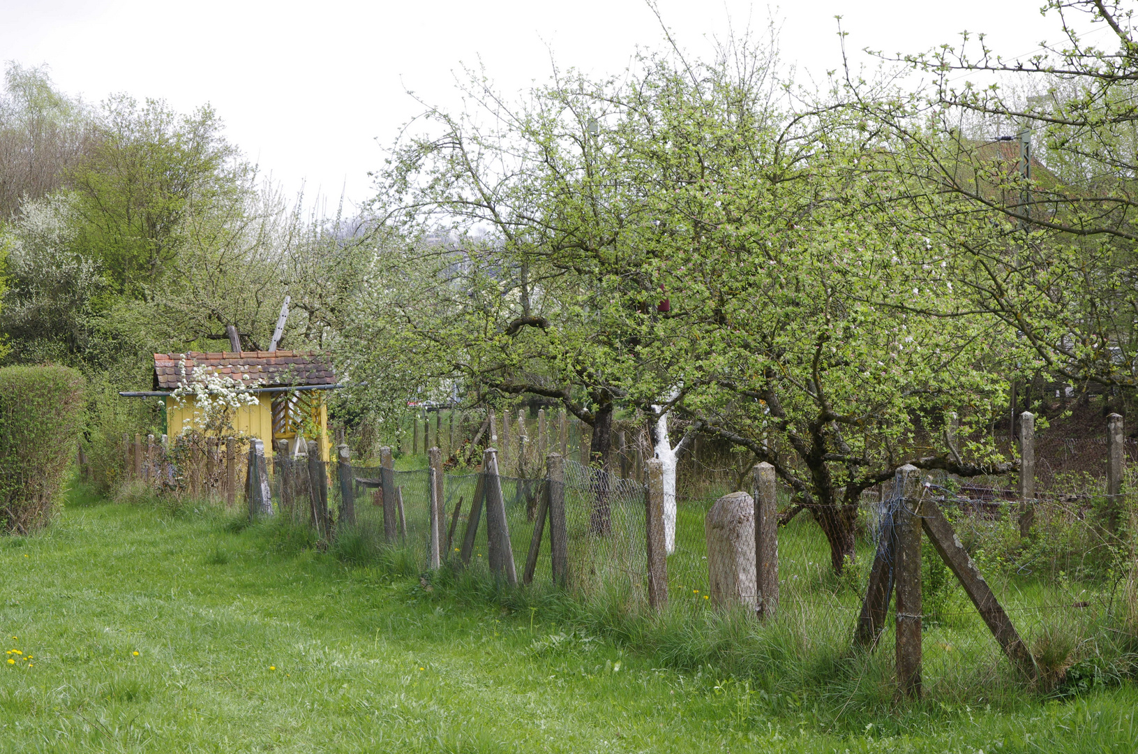 Der Garten erwacht