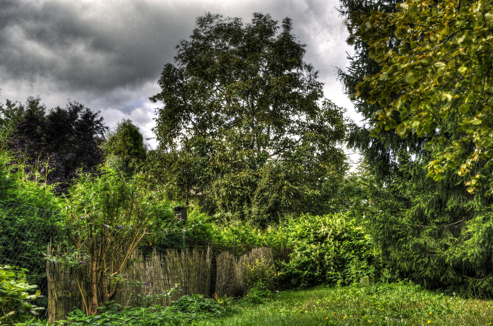 Der Garten hintenrum...