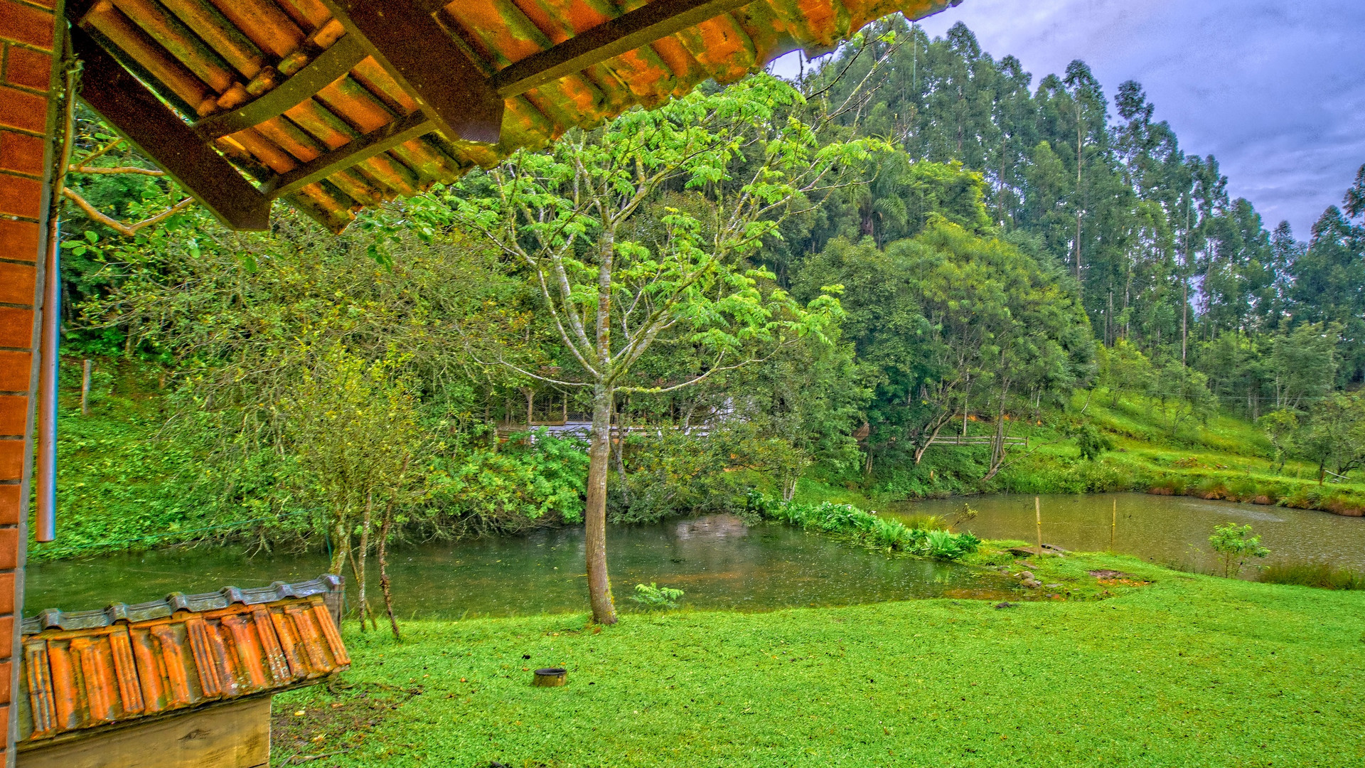 Der Garten im Busch