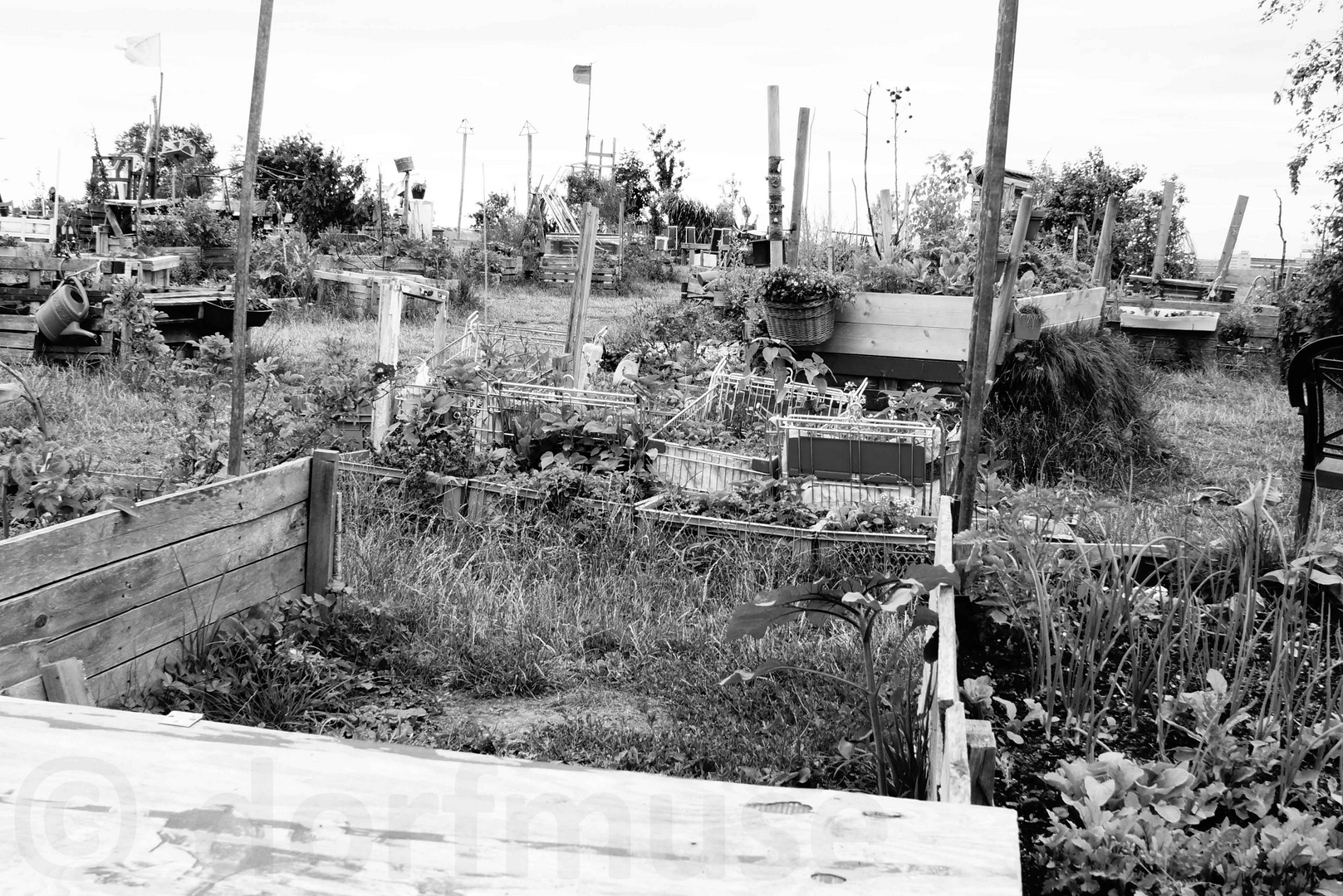 Der Garten im Einkaufswagen