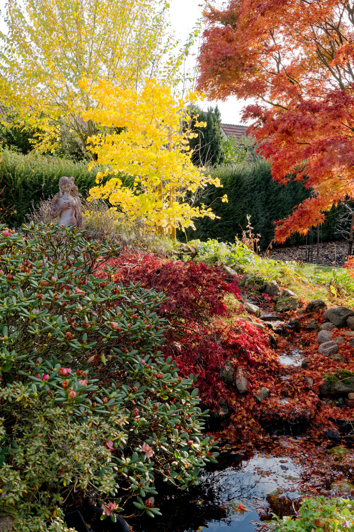 Der Garten im Herbst 2