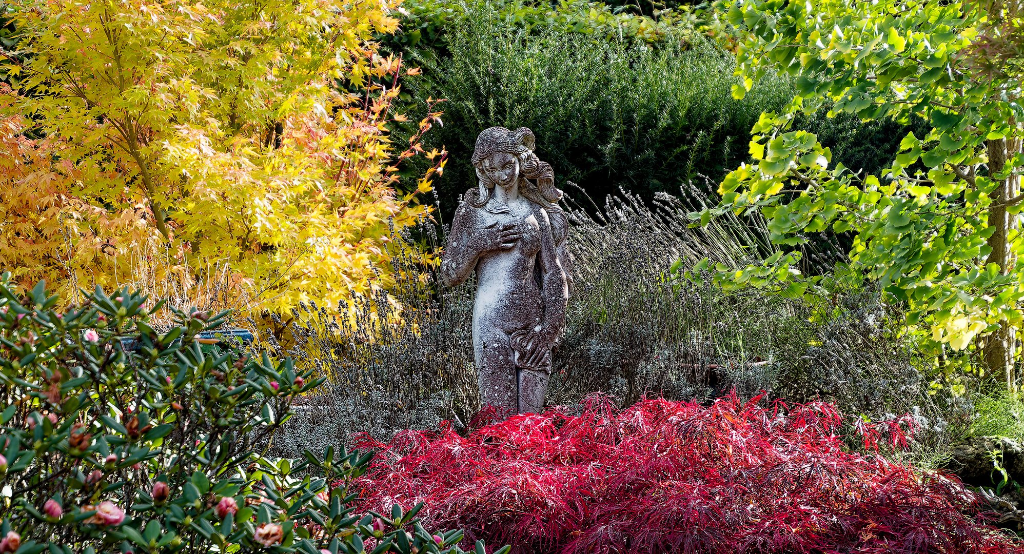 Der Garten im Herbst ...