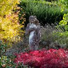 Der Garten im Herbst ...