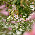 der Garten im Herbst