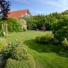 Der Garten im Sommer