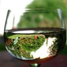 Der Garten im Weinglas