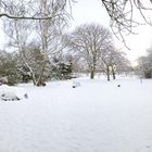 Der Garten im Winter