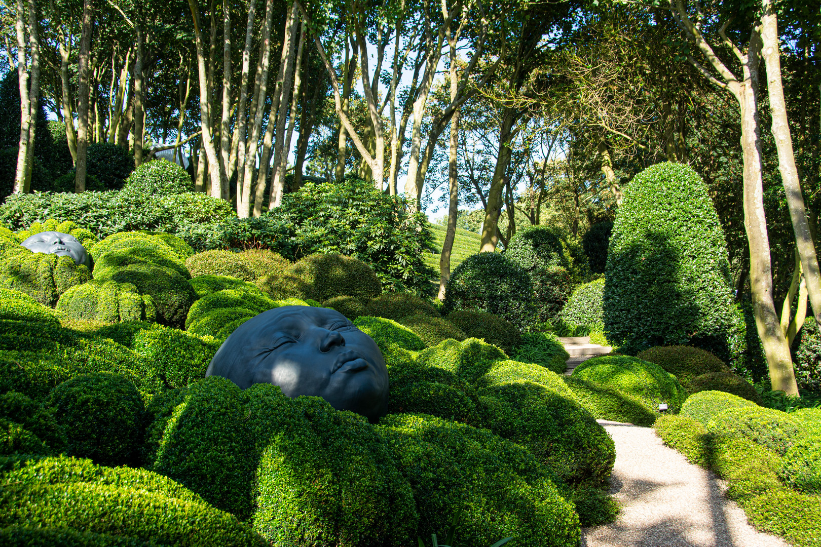 Der Garten in Etretat Foto & Bild france, world, natur Bilder auf