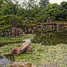 Der Garten in Japan