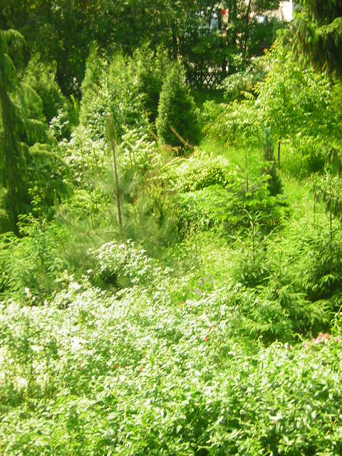 Der Garten von unseren Nachbarn....