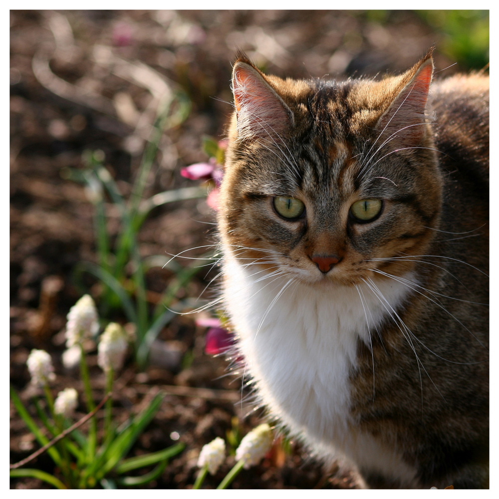 Der Gartenrundgang