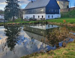 Der Gartenteich am Haus**